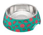 Summer Punch Easy Feeder Pet Bowl